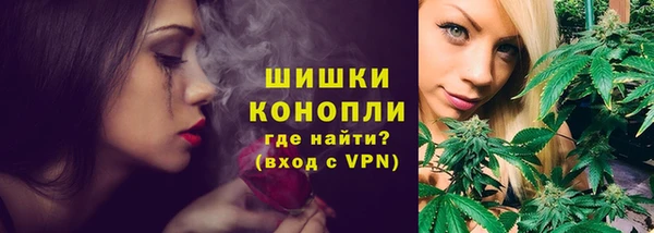 крисы Анжеро-Судженск