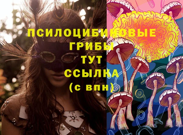 таблы Богородицк